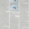 Ekonomia, a co to?, Gazeta Wyborcza, 18 października 2004 roku