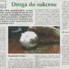 Droga do sukcesu, Gazeta Szkolna, 3 czerwca 2004 roku