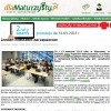19.04.2013 DlaMaturzysty.pl Zostań mistrzem zarządzania!